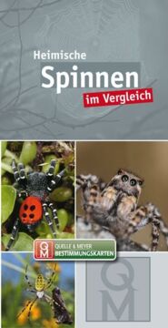 Graues Buchcover mit 3 Fotos von Spinnen