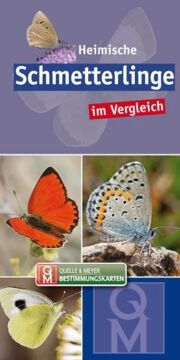 Blaues Buchcover mit 3 Fotos von Schmetterlingen