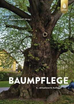 Buchcover: Großer Baum mit Astloch