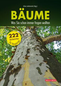 Buchcover Foto von Plantanenstamm