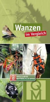 Hellgrünes Buchcover mit 3 Fotos von Wanzen